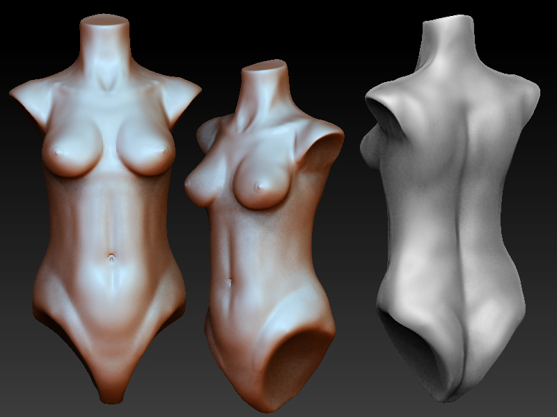 Featured image of post Female Torso Reference By jokertoolworks jan 3 2021